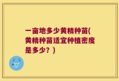 一亩地多少黄精种苗(黄精种苗适宜种植密度是多少？)