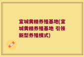 宣城黄精养殖基地(宣城黄精养殖基地 引领新型养殖模式)