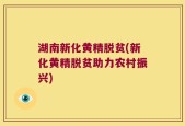 湖南新化黄精脱贫(新化黄精脱贫助力农村振兴)