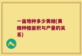 一亩地种多少黄精(黄精种植面积与产量的关系)