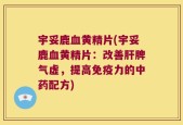 宇妥鹿血黄精片(宇妥鹿血黄精片：改善肝脾气虚，提高免疫力的中药配方)