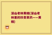 深山老林黄精(深山老林里的珍贵草药——黄精)