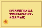四川黄精图(四川出土黄精四件套惊现浴室，价值无法估量)