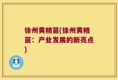 徐州黄精苗(徐州黄精苗：产业发展的新亮点)