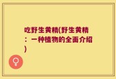 吃野生黄精(野生黄精：一种植物的全面介绍)