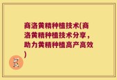 商洛黄精种植技术(商洛黄精种植技术分享，助力黄精种植高产高效)