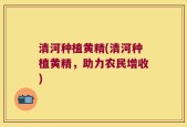 清河种植黄精(清河种植黄精，助力农民增收)