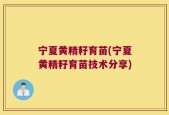 宁夏黄精籽育苗(宁夏黄精籽育苗技术分享)