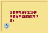 沙棘黄精淫羊藿(沙棘黄精淫羊藿的功效与作用)