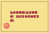 仙余粮黄精(仙余粮黄精：滋润生命的秘密宝藏)