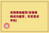 安徽黄精催芽(安徽黄精成功催芽，农家喜迎丰收)