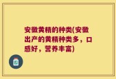 安徽黄精的种类(安徽出产的黄精种类多，口感好，营养丰富)