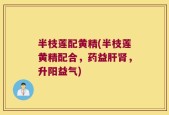 半枝莲配黄精(半枝莲黄精配合，药益肝肾，升阳益气)