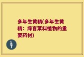 多年生黄精(多年生黄精：绿盲菜科植物的重要药材)
