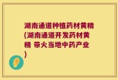 湖南通道种植药材黄精(湖南通道开发药材黄精 带火当地中药产业)
