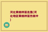 河北黄精种苗出售(河北地区黄精种苗热销中)
