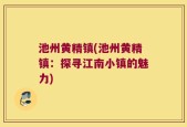 池州黄精镇(池州黄精镇：探寻江南小镇的魅力)
