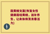 栽黄精文案(恢复女性健康栽培黄精，滋补养生，让身体焕发青春活力)
