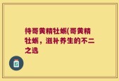 待哥黄精牡蛎(哥黄精牡蛎，滋补养生的不二之选