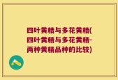 四叶黄精与多花黄精(四叶黄精与多花黄精-两种黄精品种的比较)