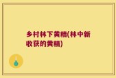 乡村林下黄精(林中新收获的黄精)