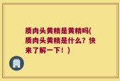质肉头黄精是黄精吗(质肉头黄精是什么？快来了解一下！)