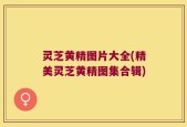 灵芝黄精图片大全(精美灵芝黄精图集合辑)