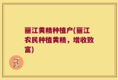 丽江黄精种植户(丽江农民种植黄精，增收致富)