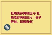 牡蛎麦芽黄精压片(牡蛎麦芽黄精压片：保护肝脏，延缓衰老)