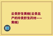 云贵野生黄精(云贵出产的珍贵野生药材——黄精)