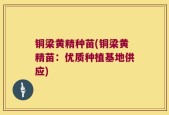 铜梁黄精种苗(铜梁黄精苗：优质种植基地供应)