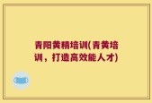 青阳黄精培训(青黄培训，打造高效能人才)