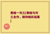 黄精一刘三(黄精与刘三合作，期待精彩结果)