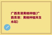 广西贵港黄精种植(广西贵港：黄精种植风生水起)