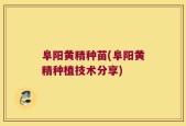 阜阳黄精种苗(阜阳黄精种植技术分享)