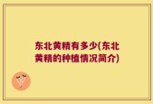 东北黄精有多少(东北黄精的种植情况简介)