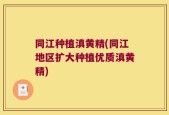 同江种植滇黄精(同江地区扩大种植优质滇黄精)