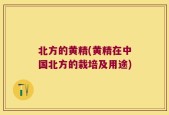 北方的黄精(黄精在中国北方的栽培及用途)