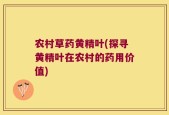 农村草药黄精叶(探寻黄精叶在农村的药用价值)