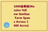 1000亩黄精(Massive Yellow Gentian Farm Spans Across 1000 Acres)