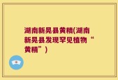 湖南新晃县黄精(湖南新晃县发现罕见植物“黄精”)