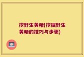 挖野生黄精(挖掘野生黄精的技巧与步骤)