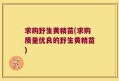 求购野生黄精苗(求购质量优良的野生黄精苗)