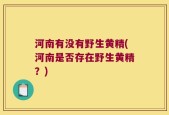 河南有没有野生黄精(河南是否存在野生黄精？)