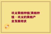 巩义黄精种植(黄精种植 - 巩义的黄精产业发展现状