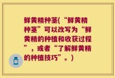 鲜黄精种茎(“鲜黄精种茎”可以改写为“鲜黄精的种植和收获过程”，或者“了解鲜黄精的种植技巧”。)