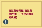 澄江黄精种植(澄江黄精种植：一个经济增长的机遇)