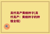 高杆高产黄精种子(高杆高产：黄精种子的种植全程)