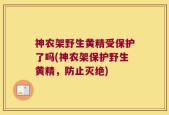 神农架野生黄精受保护了吗(神农架保护野生黄精，防止灭绝)