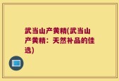 武当山产黄精(武当山产黄精：天然补品的佳选)